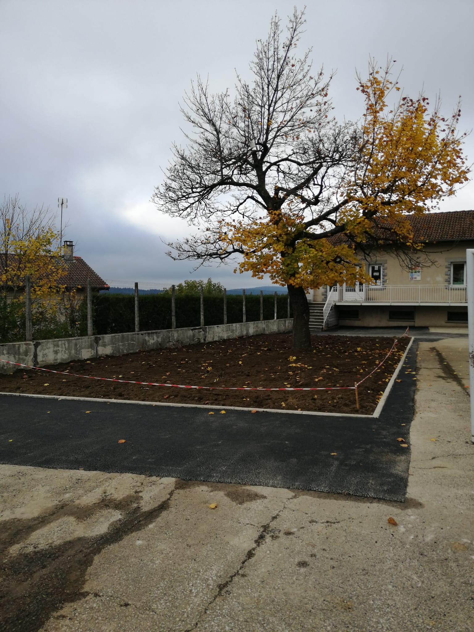 Visuel : Notre cour se met au vert